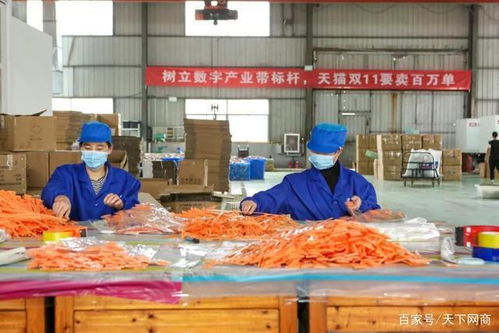 2020，最難“打工人” 一睜眼，肩上就是300人的生存